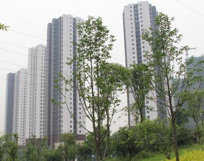 江北區還建房