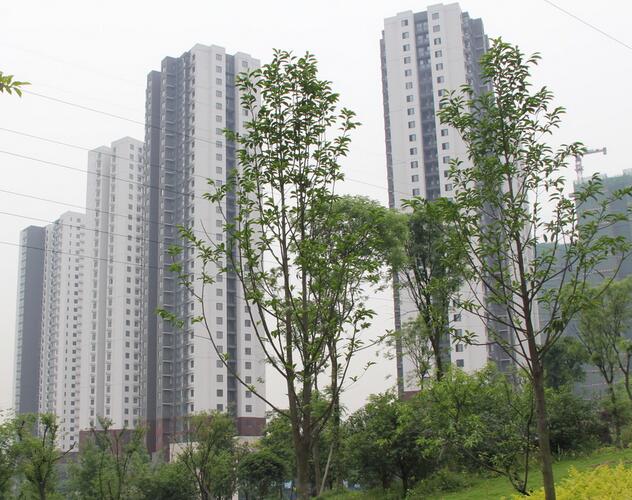 江北區還建房